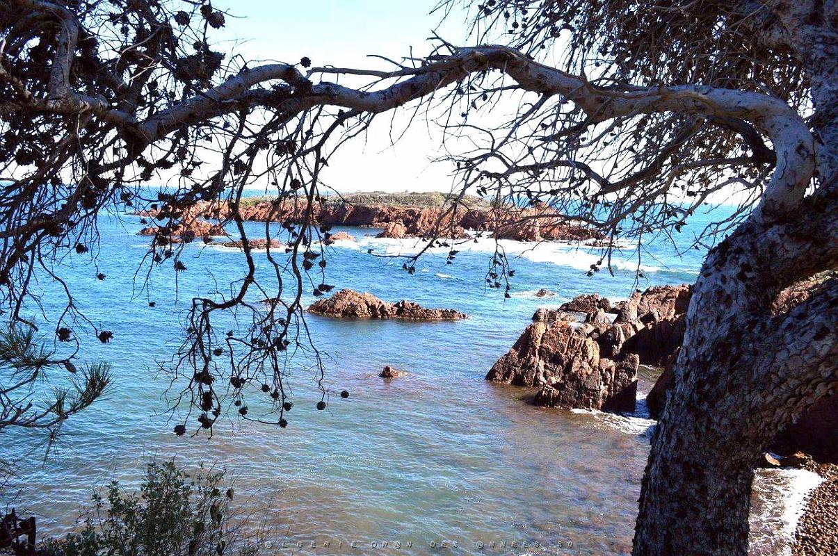 089- Entre Agay et Antheor.JPG
